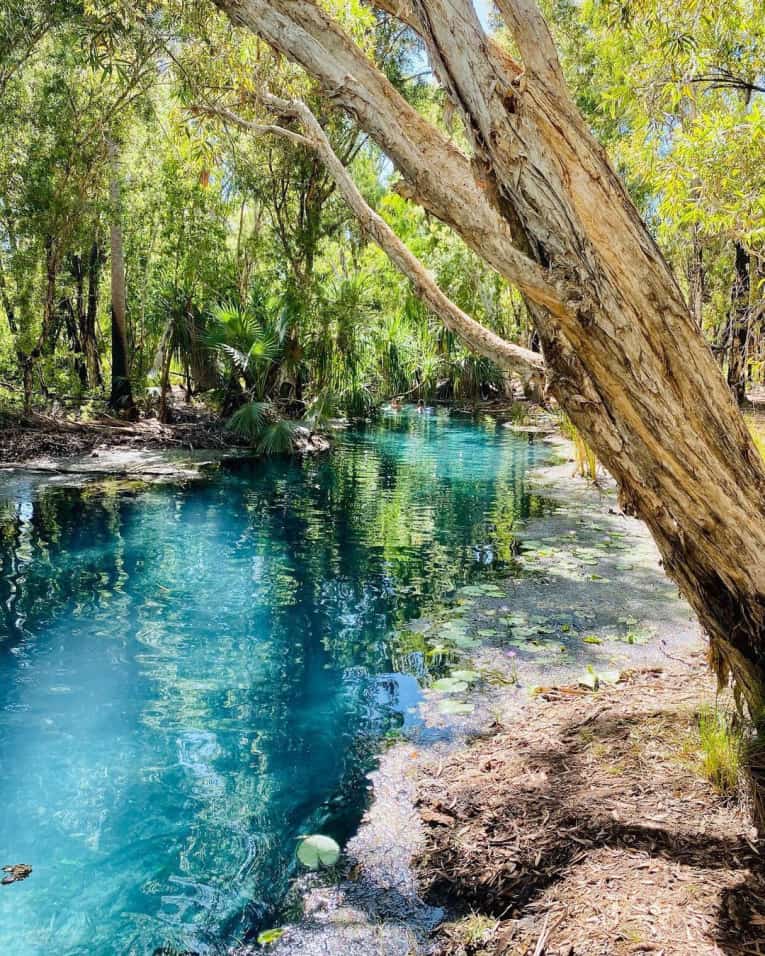 5 Compelling Reasons to Visit the Northern Territory in Summer ...